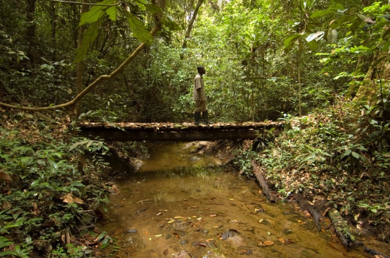 ankasa-nini-suhien-national-park-and-resource-reserve